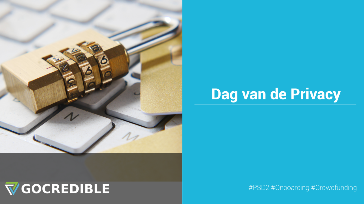 Dag van de Privacy GoCredible